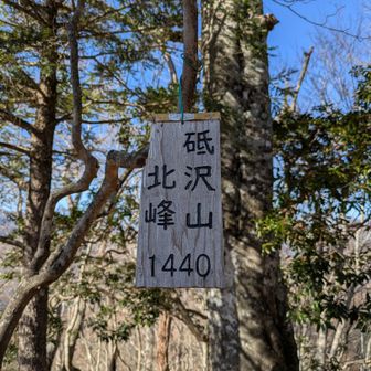 砥沢山北峰頂標識