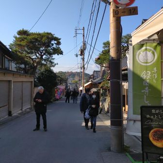 銀閣寺付近に下山