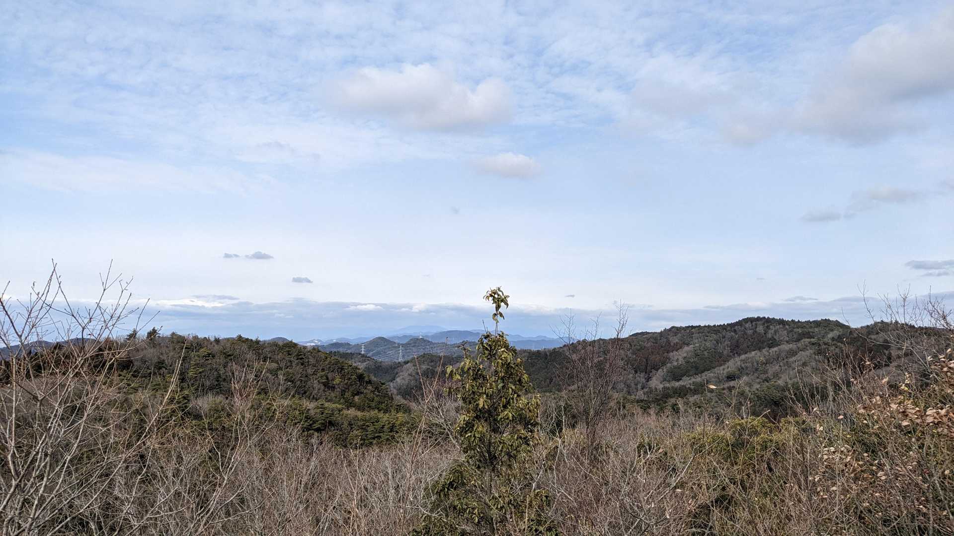 三上山 往復コースの写真