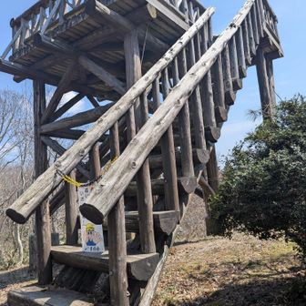 頂上
今日は花メイン🌸
眺めは天気だけど、そこまでよくない😣