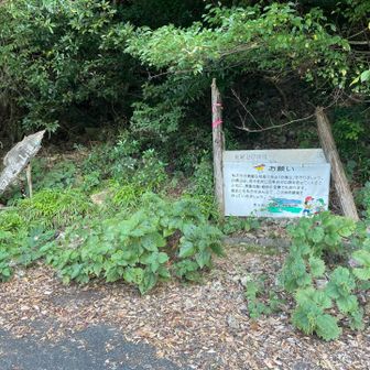 古堂橋登山口。
