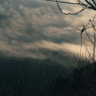 黄金な雲

今日は午後から曇りや雨らしい
3時に起きたのでとても眠いし熱い風呂に入りたい