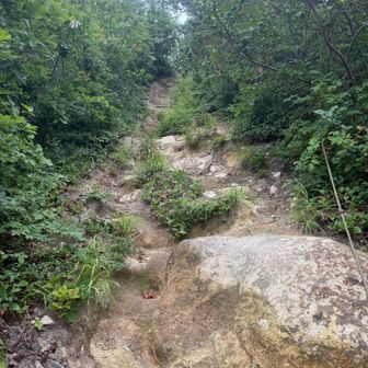 ここがまた大した登りでは無いのに