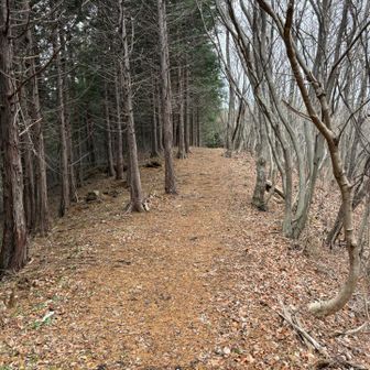 歩く音しか聞こえない