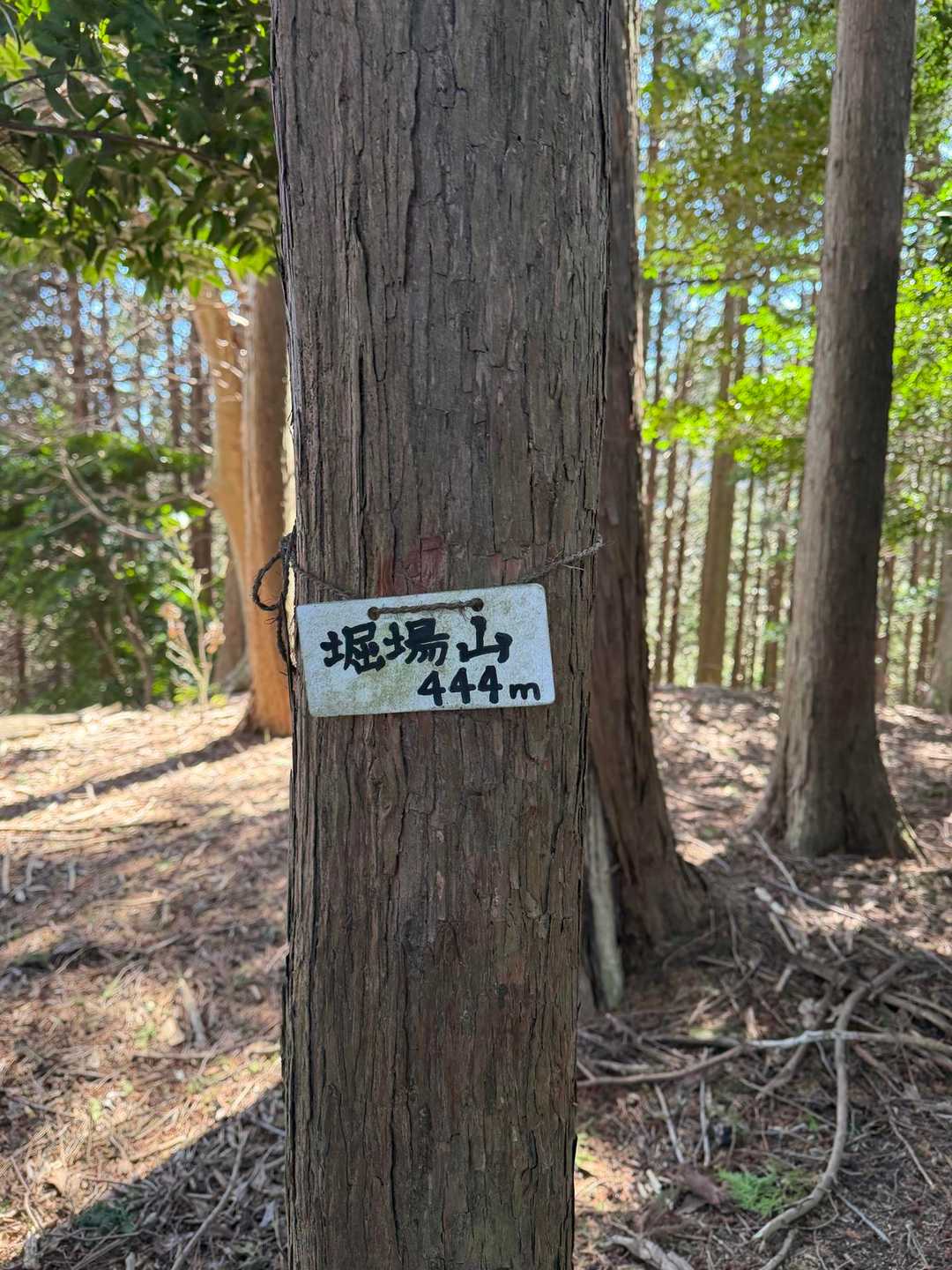 堀場山