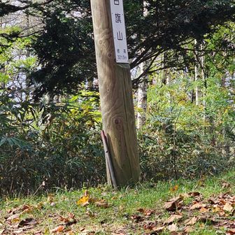 山頂は混んでた。