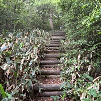 漸く登山道