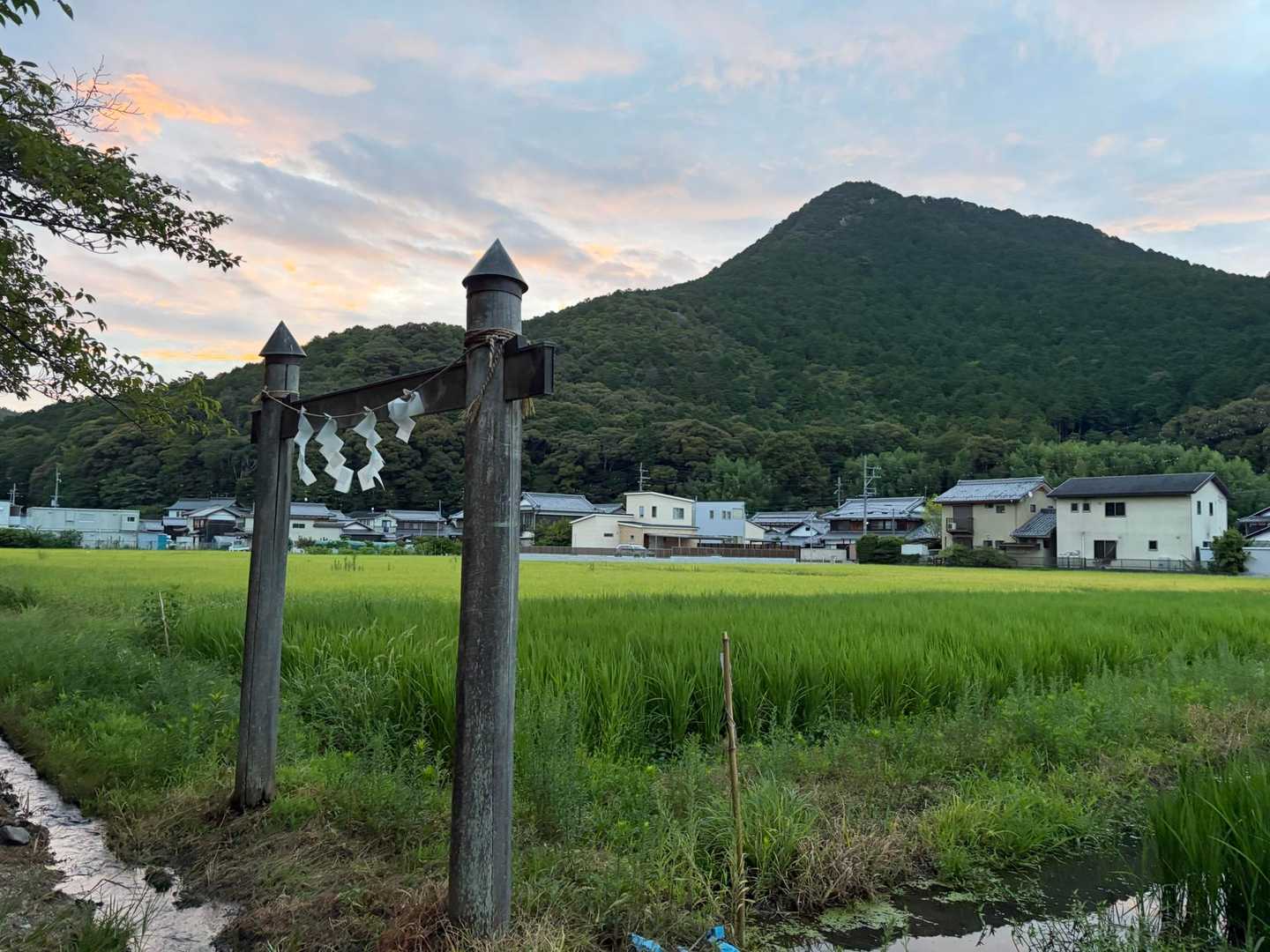 表登山道〜三上山〜裏登山道 周回コースの写真