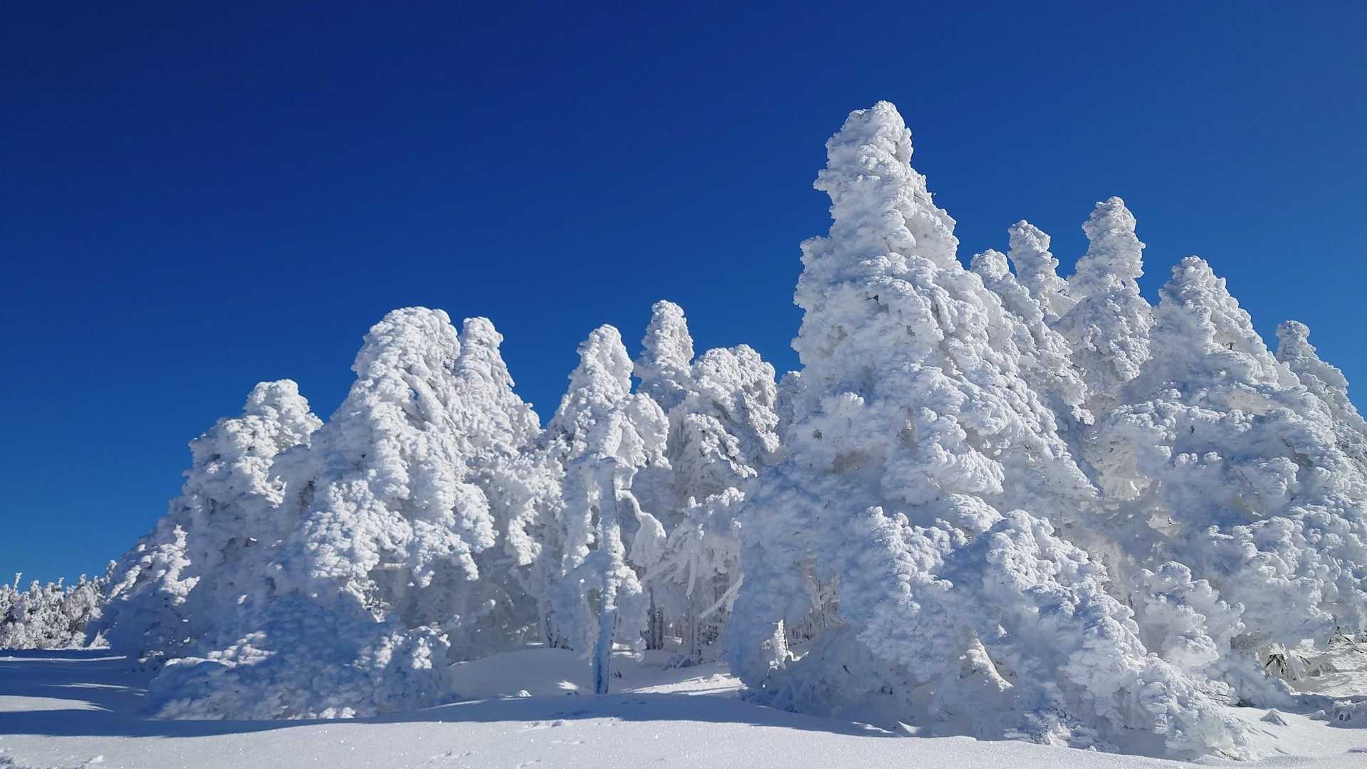 南沢山・横川山 | 阿智セブンサミットの一座、笹原の稜線でアルプス・御嶽山を眺望の写真