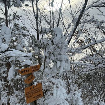家にいると寒くて億劫だけど、来ると来て良かったって思うし、身体も暖かい🤣