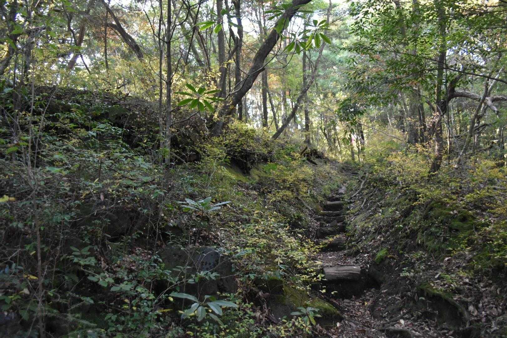 明瞭なルートを歩く。
