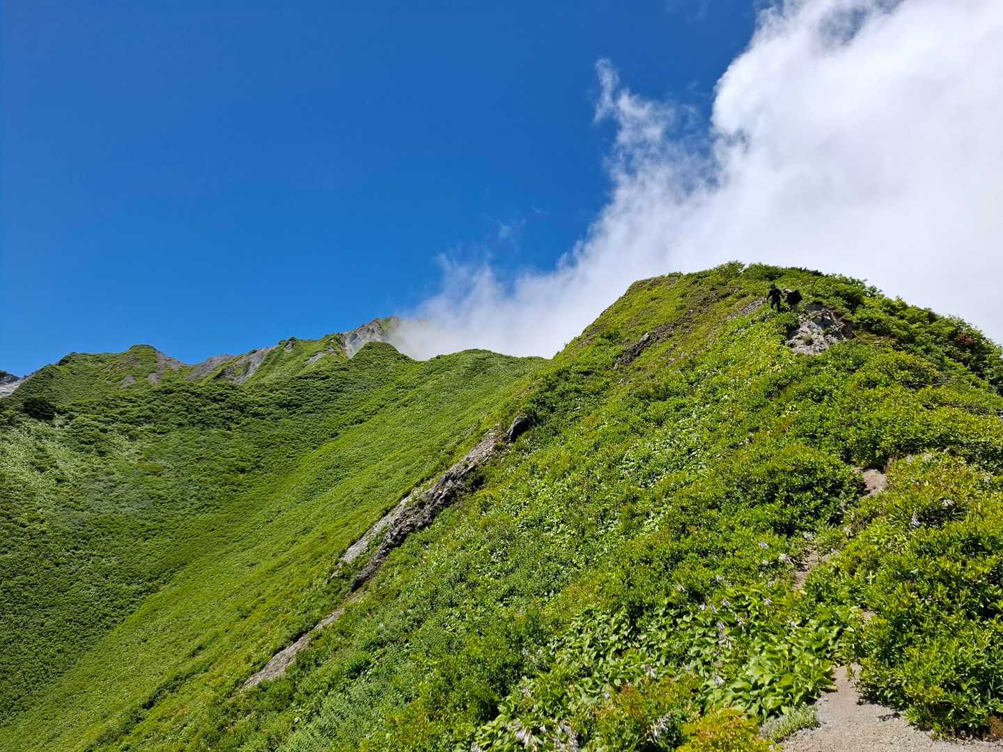 中の原スキー場登山口-大休峠-野田ヶ山-振子山-象ヶ鼻-上 周回コースの写真