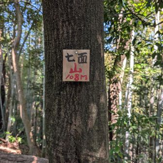 その横に山標あり。