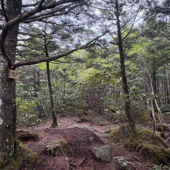 乾徳山北峰（2,016ｍ）
穏やかな山頂で、主峰(南峰)とは全く違う雰囲気