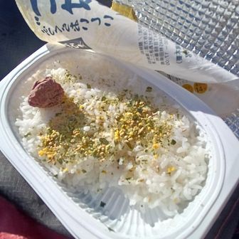 お昼はパックご飯に梅干しとふりかけ