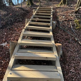 まだ綺麗。今年の5月に作られたようです。