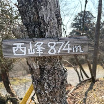 野登山西峰874m