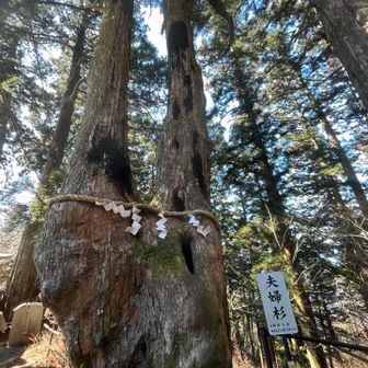 呼ばれないと行けない玉置神社とバイカオウレン / やえむちさんの大峯