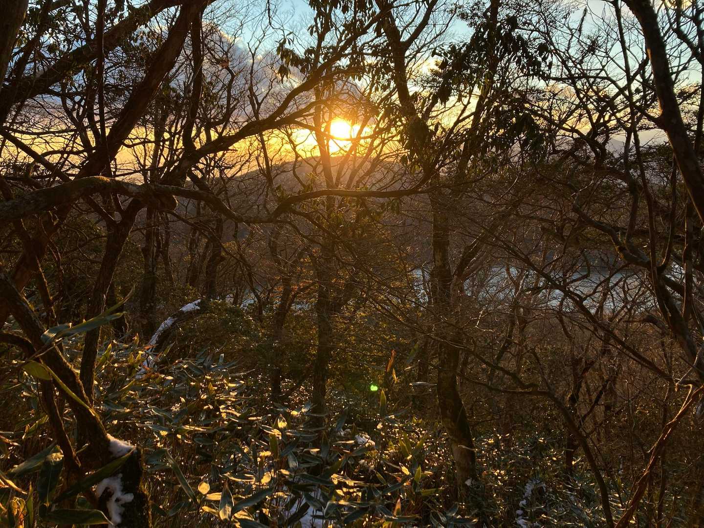 防ヶ沢登山口-駒ヶ岳頂上駅-駒ヶ岳 往復コースの写真