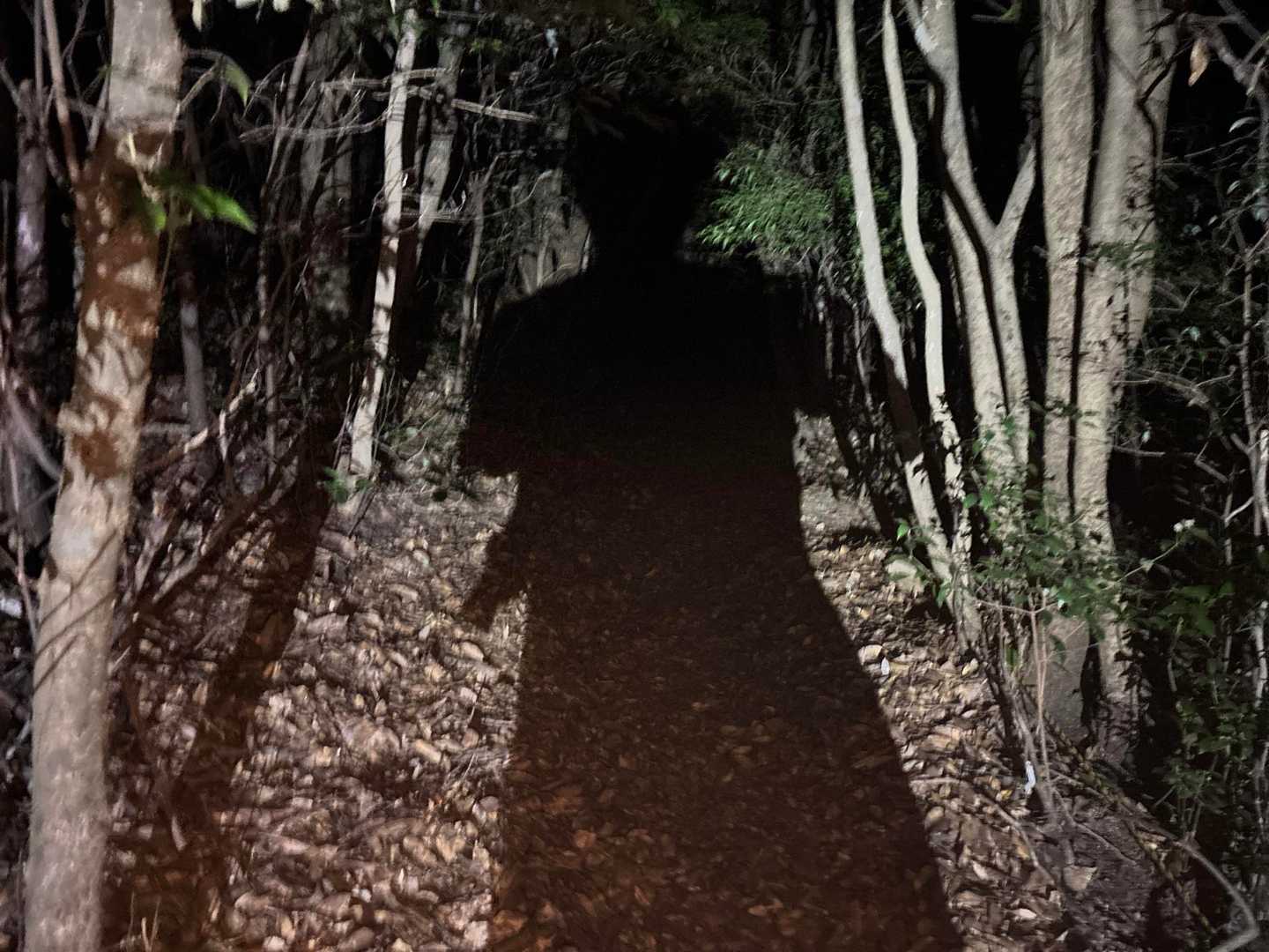 夜間ブロッケン🤣