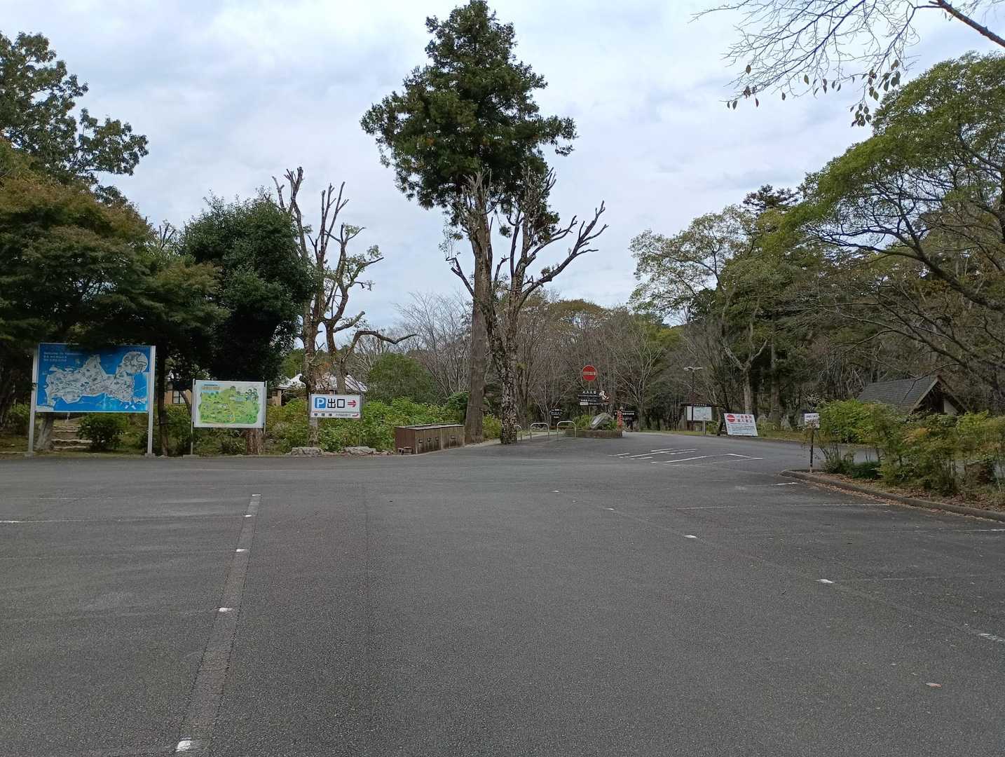 ここからスタ－ト。