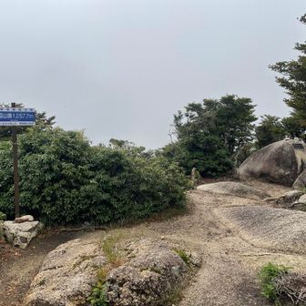 猫岳山頂（ガスってる）