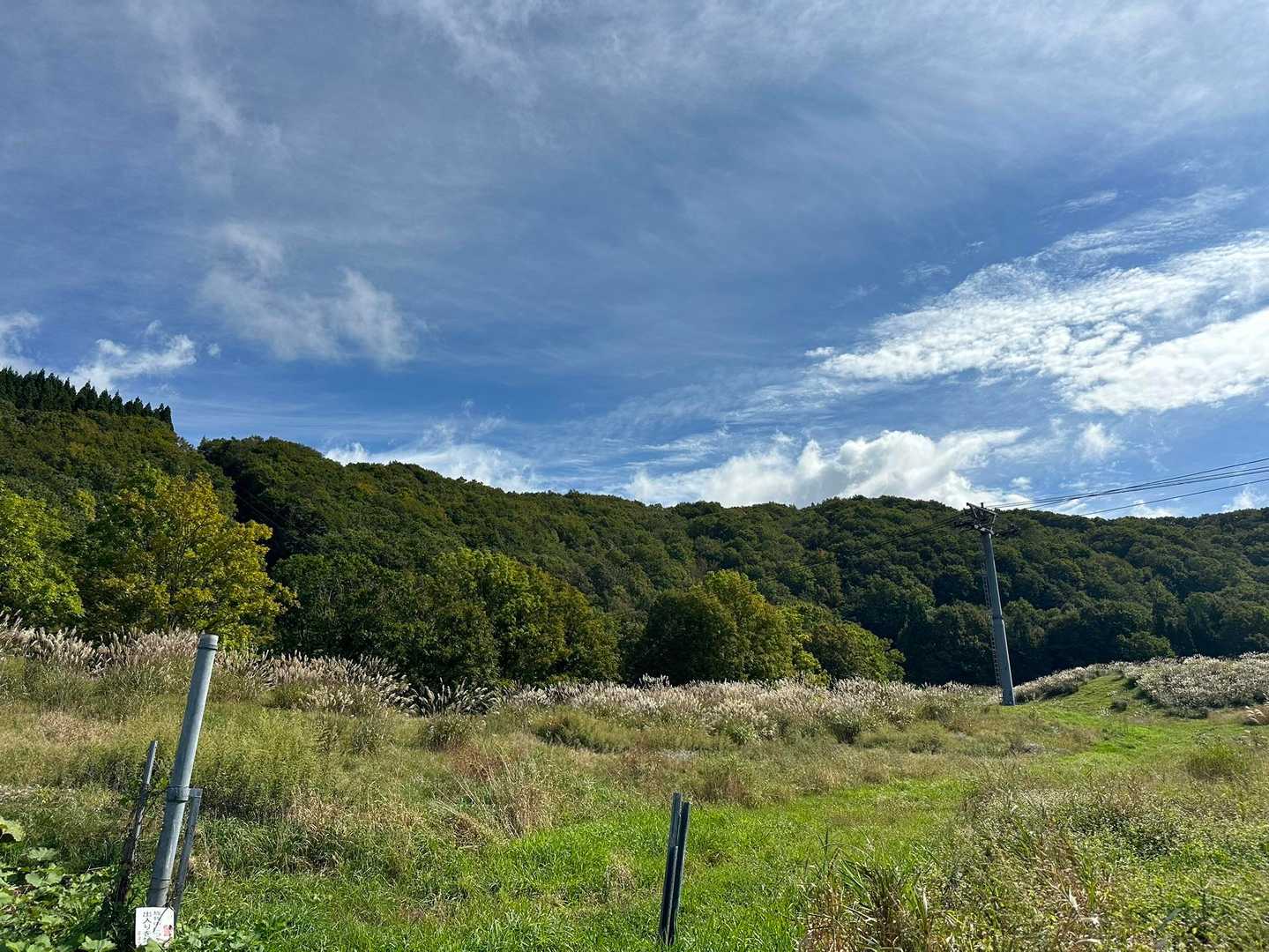 阿仁ゴンドラ山頂駅-石森-ブナ帯登山口-阿仁ゴンドラ山麓駅 縦走コースの写真