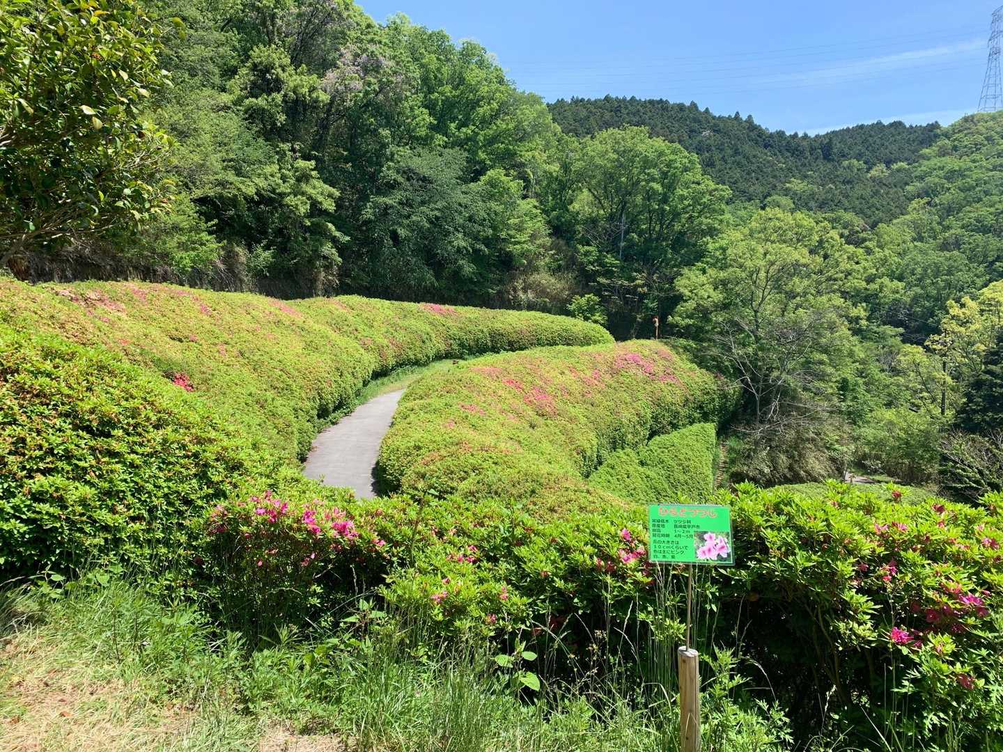神津嶽ふれあい広場-客坊大橋登山口 周回コースの写真