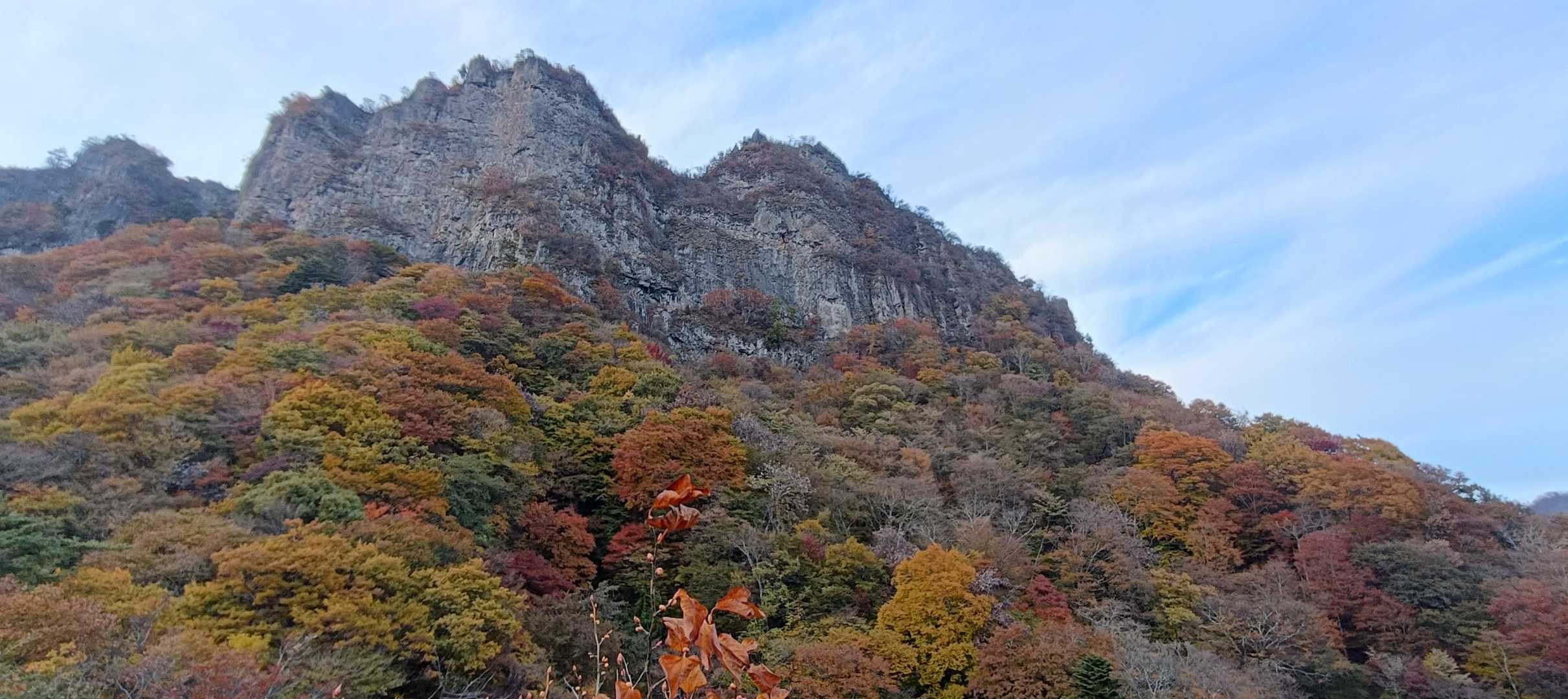 下山！めちゃんこ綺麗です