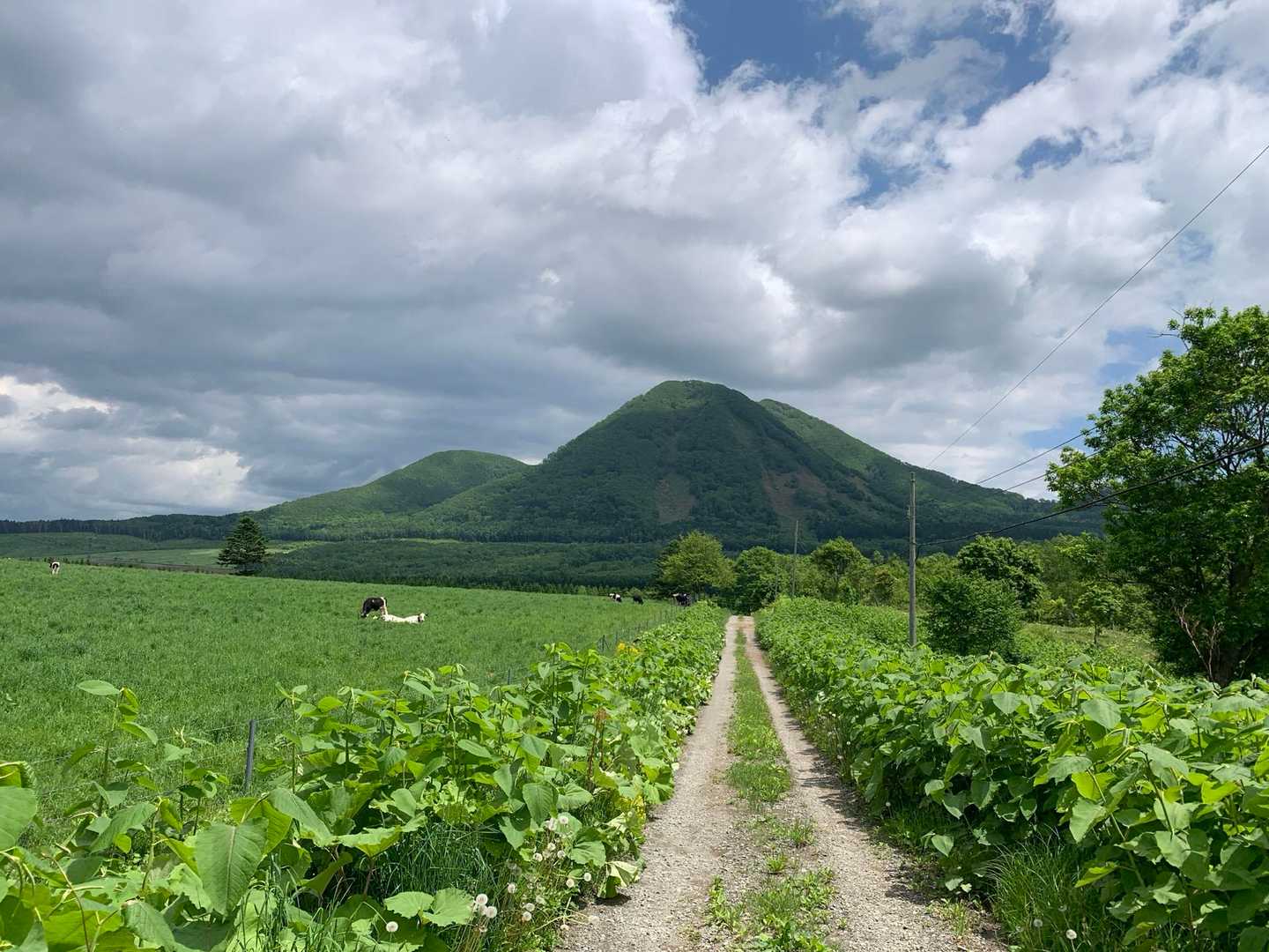 軍人山 往復コースの写真