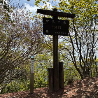 伊豆ヶ岳登頂〜⛰️