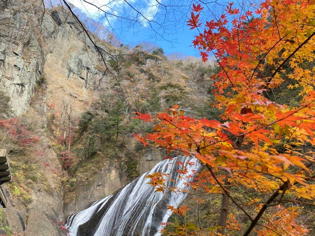 月居山 周回コースの写真