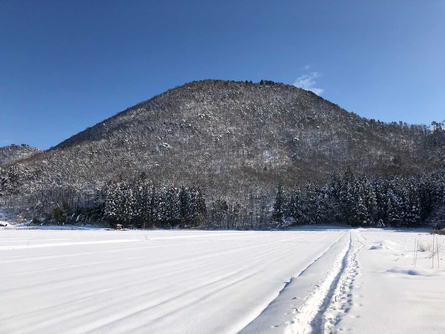 尾瀬ヶ原から見た燧ヶ岳⛰みたい