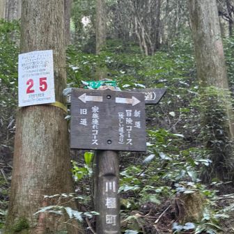 家族連れコースへ。