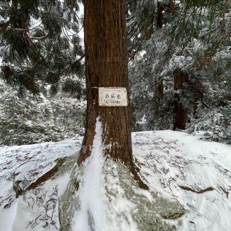 釣瓶岳　ツルベダケ　ここまでが一番キツかった💦
ツルベさんの笑顔を見る度にこの山を思い出しそうです🤭