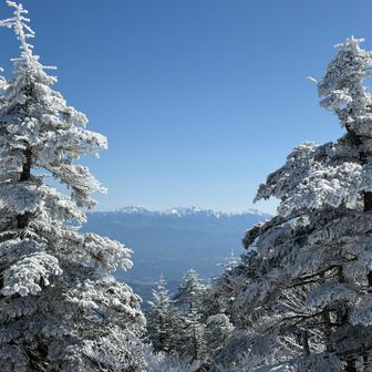 所々からはしっかり眺望、あります！