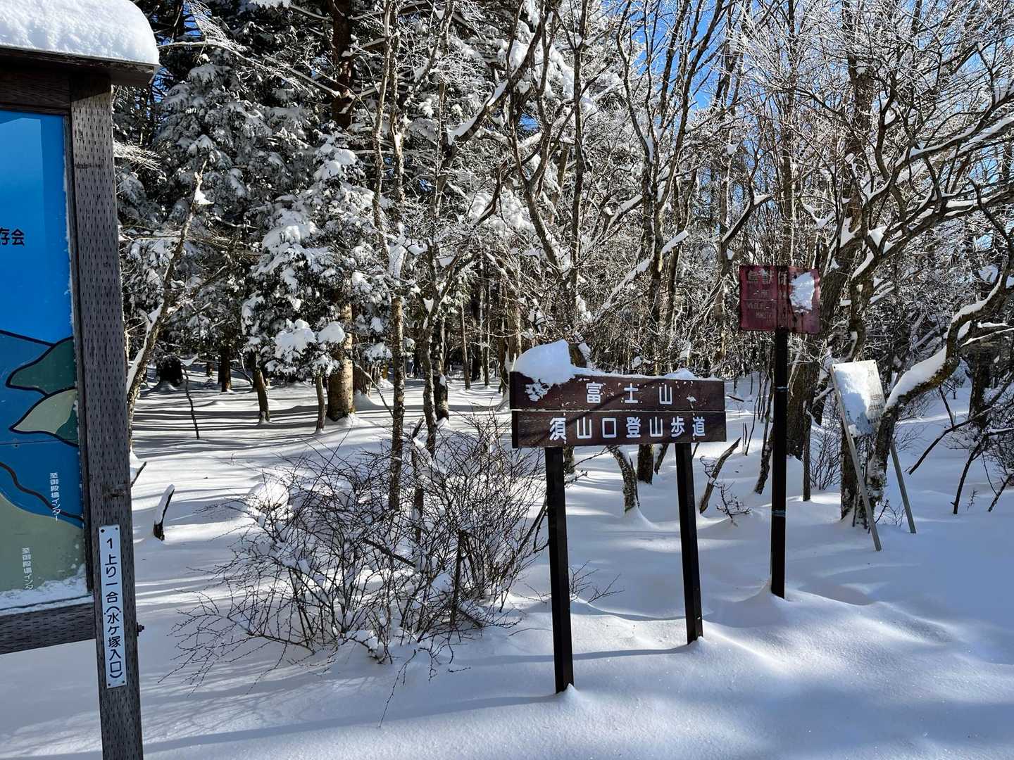 登山道は予想以上にモフモフ☺️