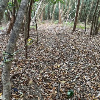 写真じゃわかりにくいですが、雄笠山からのくだりは半端ないです。
