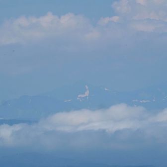 知床連山　遠音別岳の見返り狐
今年は雪が少ないそうで… 尻尾がないの
