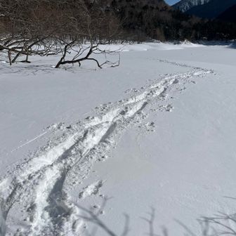 自分のトレースを振り返る🧐
場所によっては貸し切り🙌