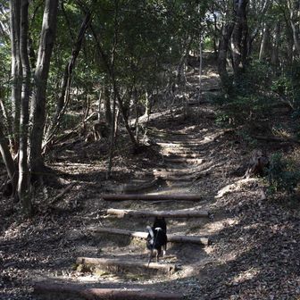 また来たトレイルに戻ります
