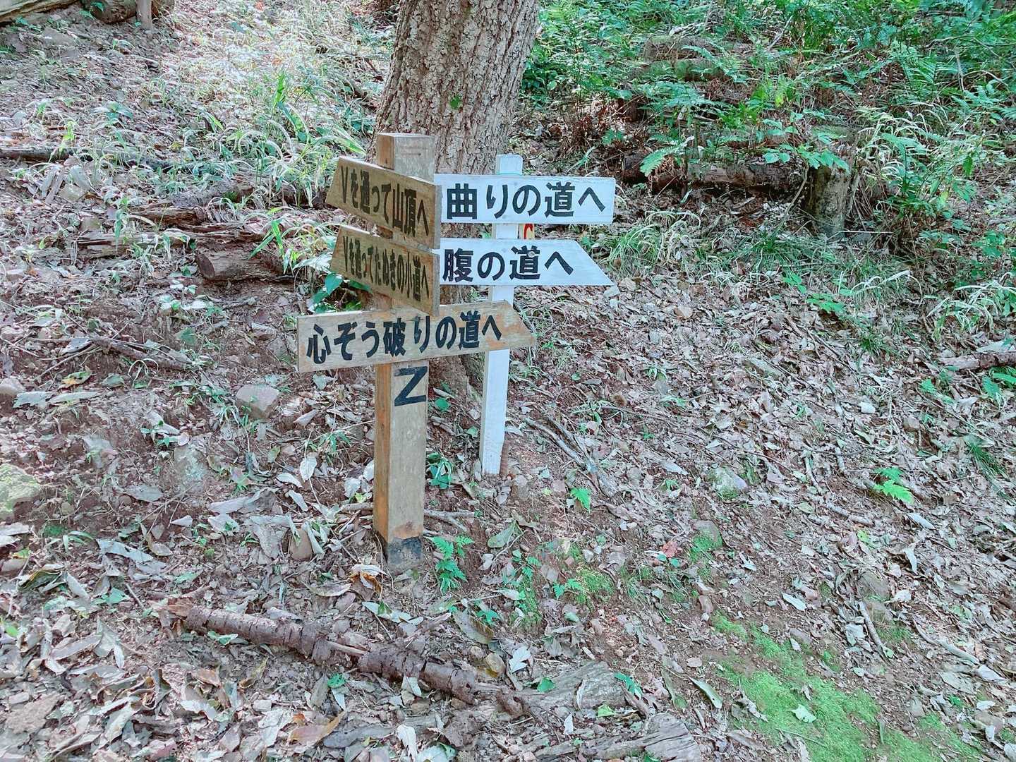 伊木山 往復コースの写真