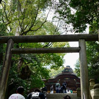 だんだん厳かになっていく