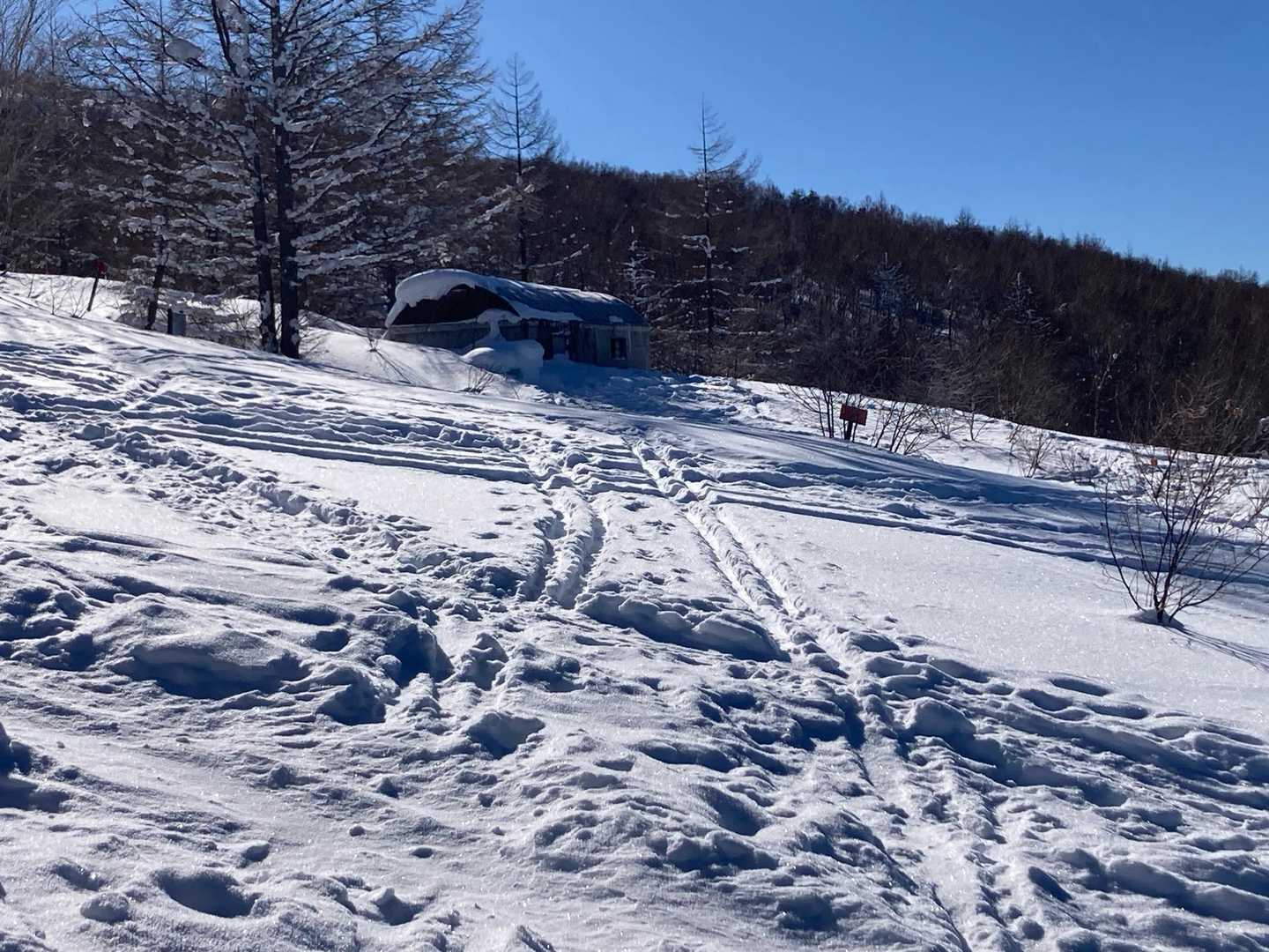避難小屋がよく見える