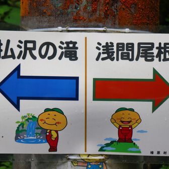 ひのじゃがくん。檜原村の特産品である「じゃがいも」をもとにつくられた村の公式イメージキャラクターです。