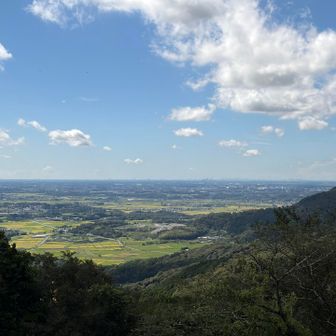 ブンブン🚙エリアにて

うっすら牛久大仏とかスカイツリー見える気がする🏙️