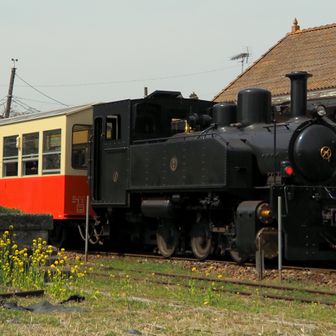 養老渓谷駅に到着、トロッコ列車が待機中