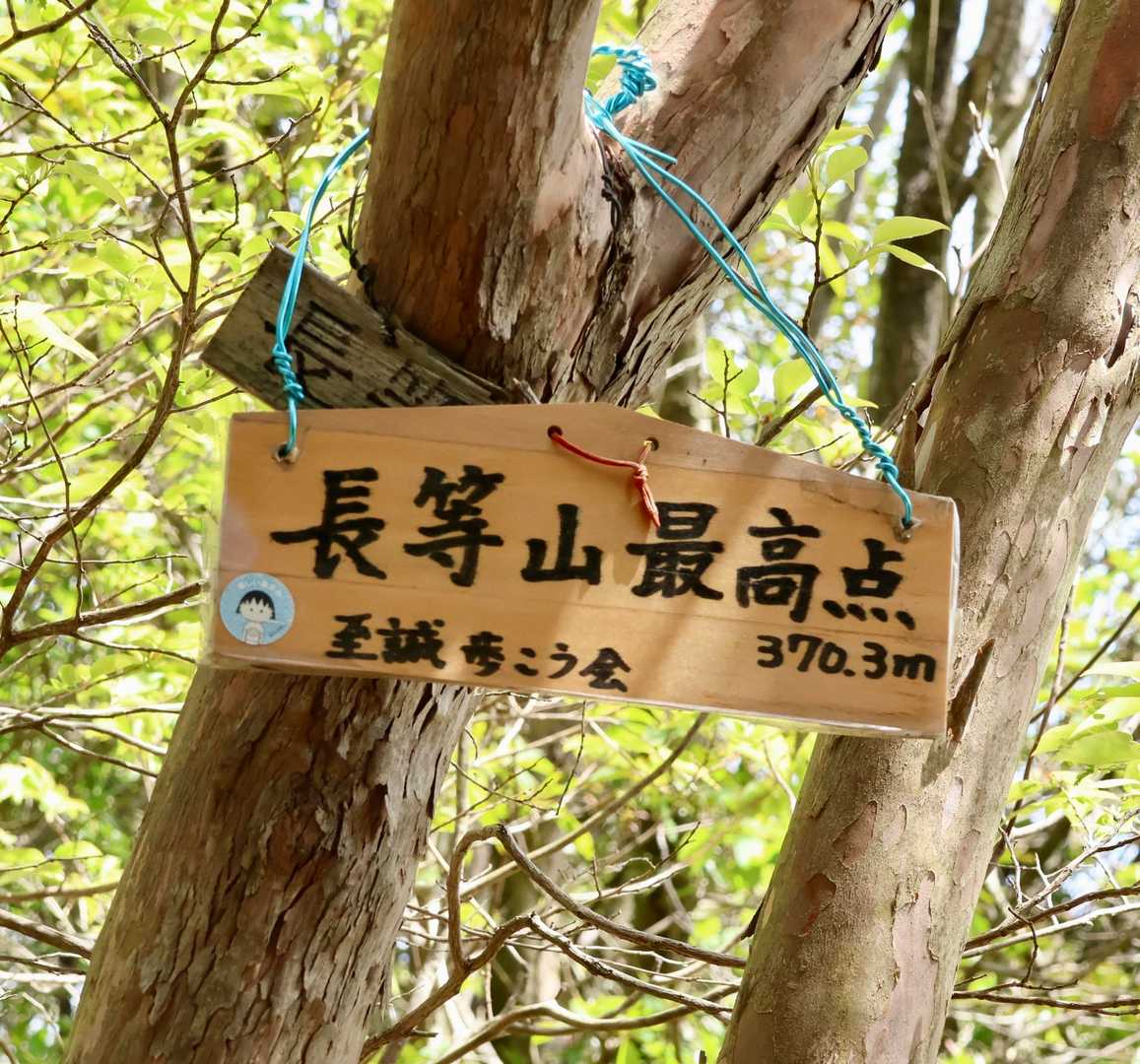 長等山最高点⛰️✨✨