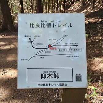 地図の上に向かうと大原、一度下ったことがある
地図下へは おごと温泉に、初めてのルートです