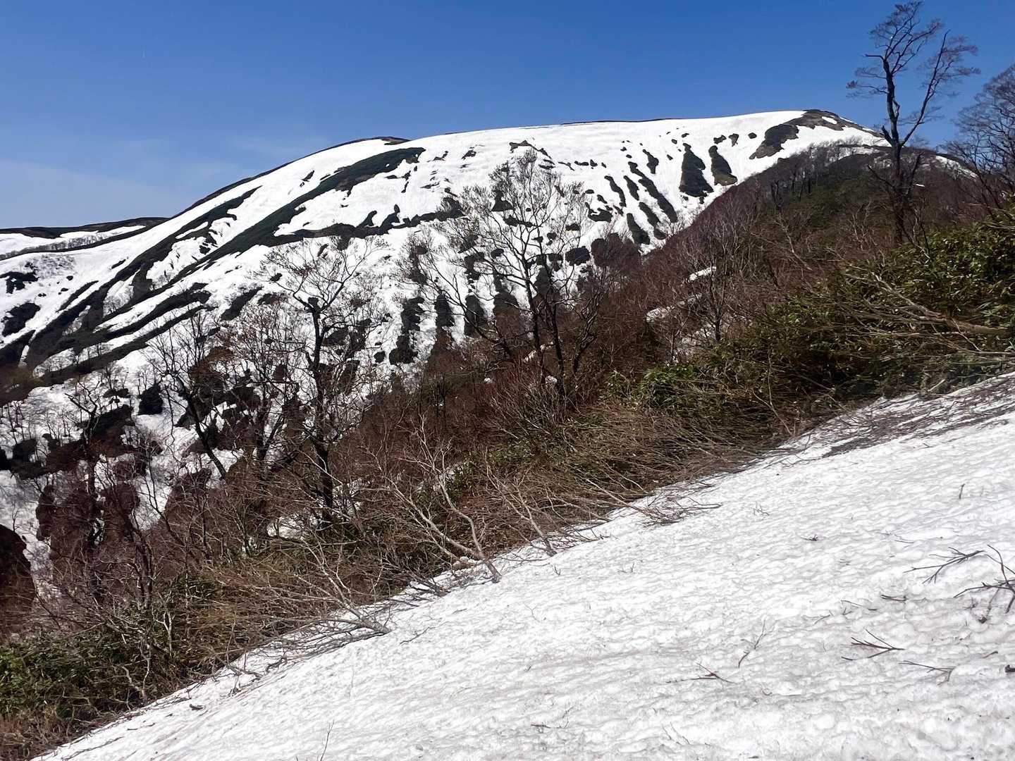 権現さま大っきいわ〜
私的に権現山とは一番関わりが深かったので、権現山に来ると色々と思い出す。父、母、祖父、叔父、徳山の事‥感慨深い。